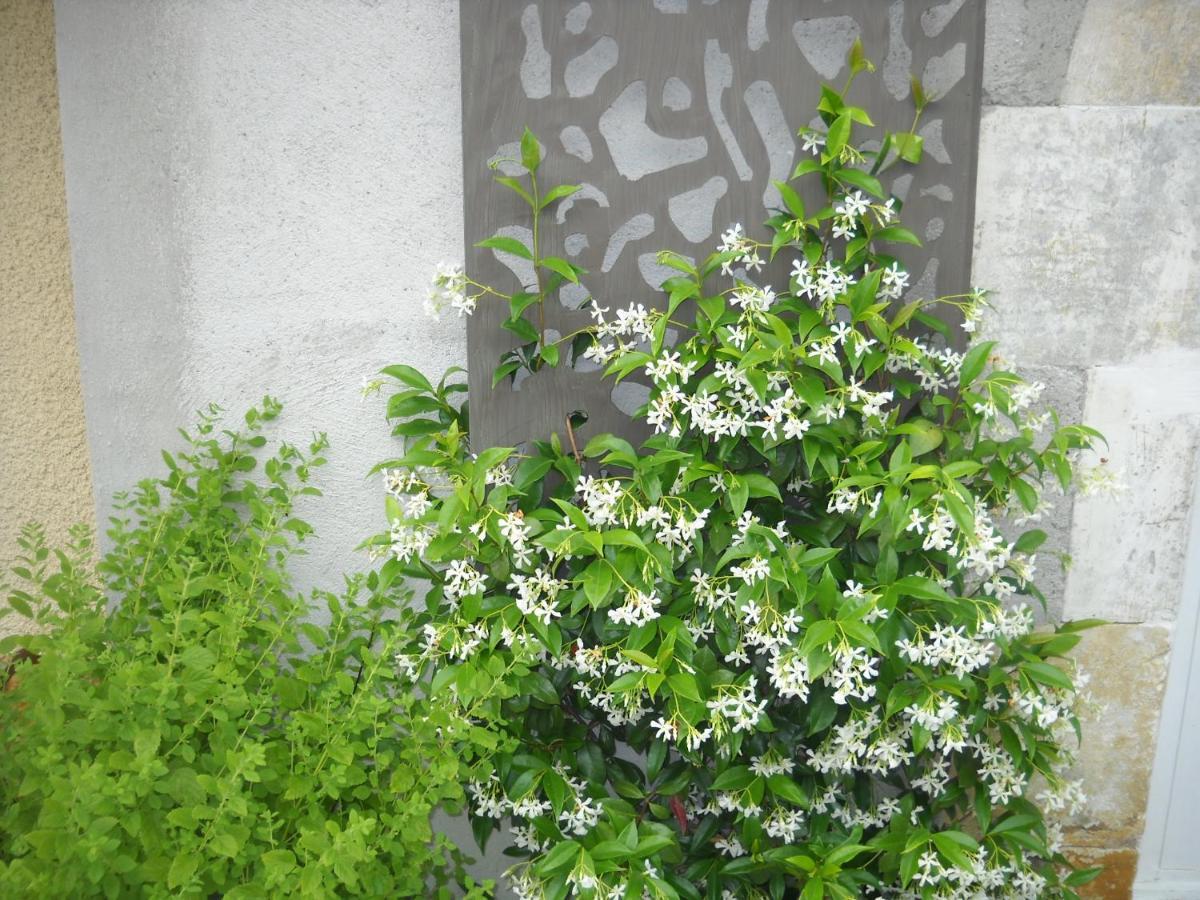 Relais Des Vignottes Bed and Breakfast Chevannes  Buitenkant foto